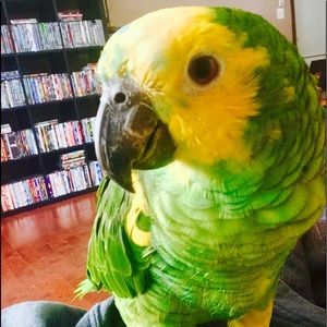 Meet your Posher, Katiane